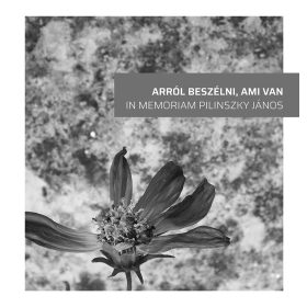 Arról beszélni, ami van