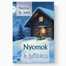 Nyomok a hóban